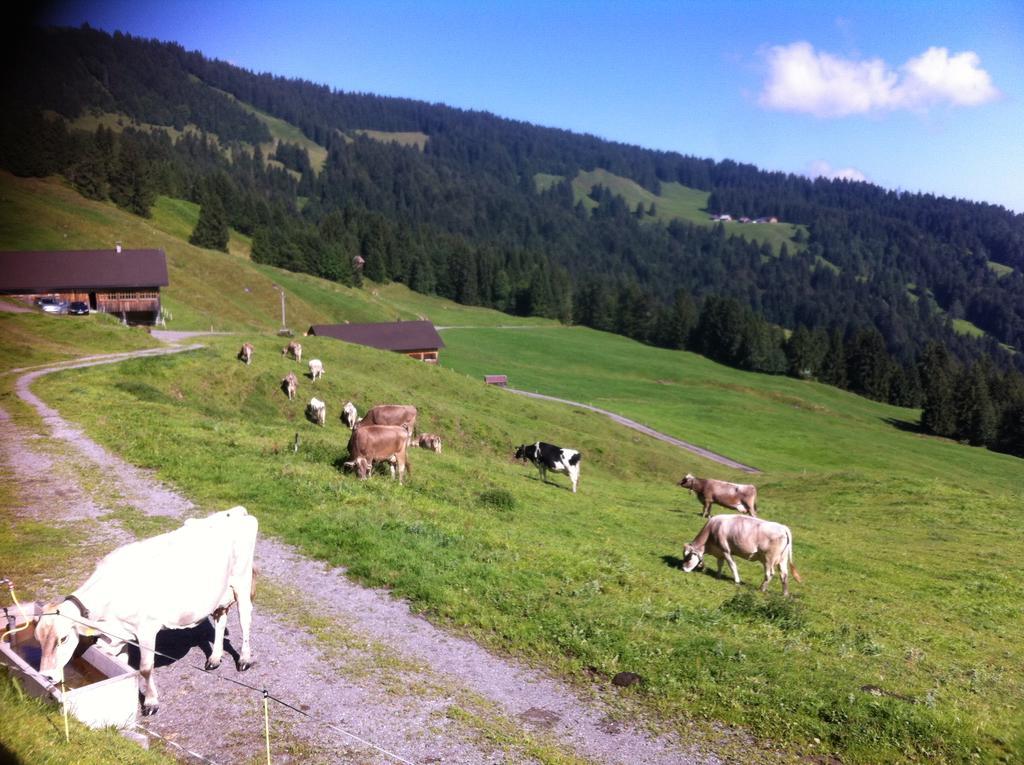 UNSER VORSÄSS - Klausberg Schwarzenberg im Bregenzerwald Exterior foto